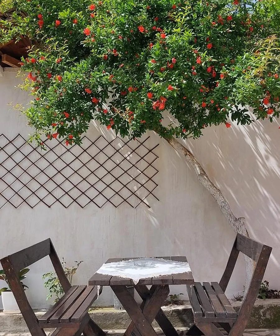 Niku Homestay Berat